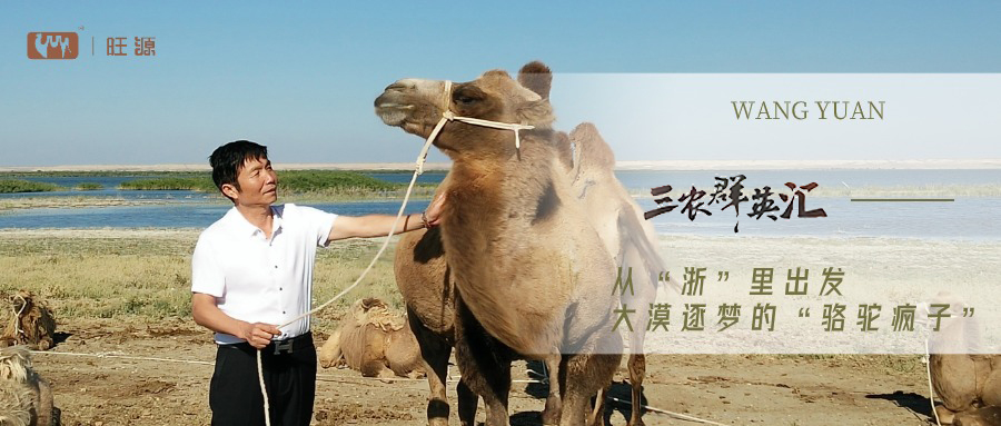 央视聚焦丨CCTV17《三农群英汇》讲述陈钢粮董事长的动人故事！